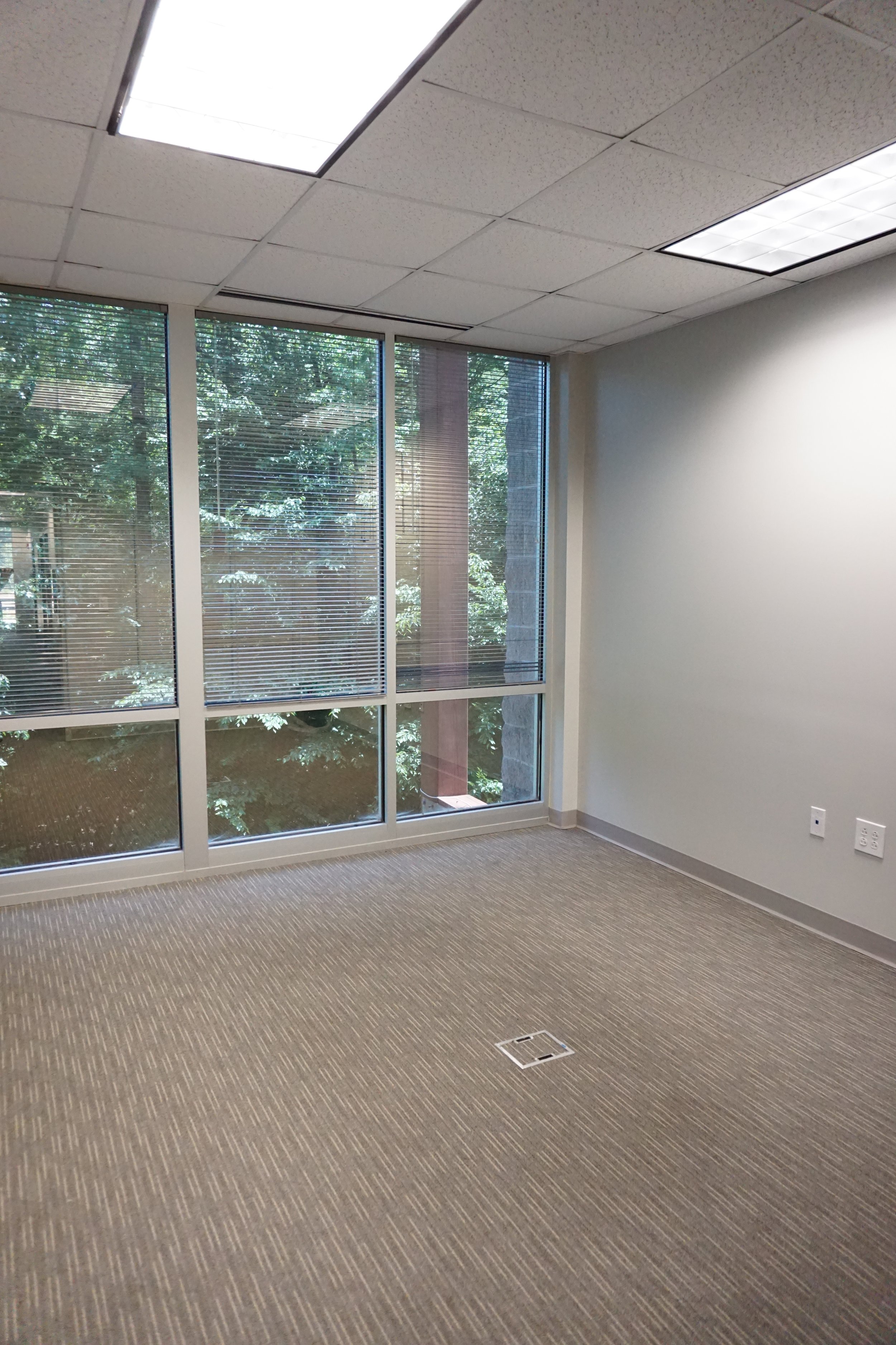 Empty office space with beige carpet, large windows with blinds, and overhead fluorescent lights.