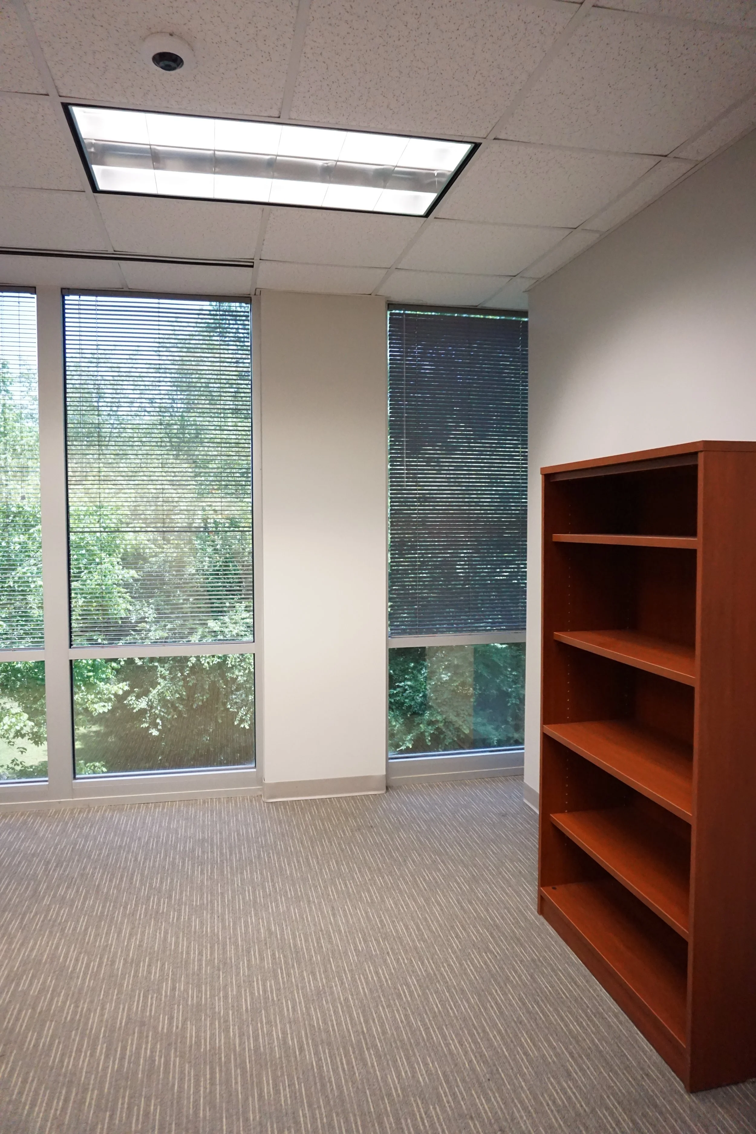 Empty office space with large windows, beige carpet, white walls, a wooden bookshelf, and a ceiling with fluorescent lights.