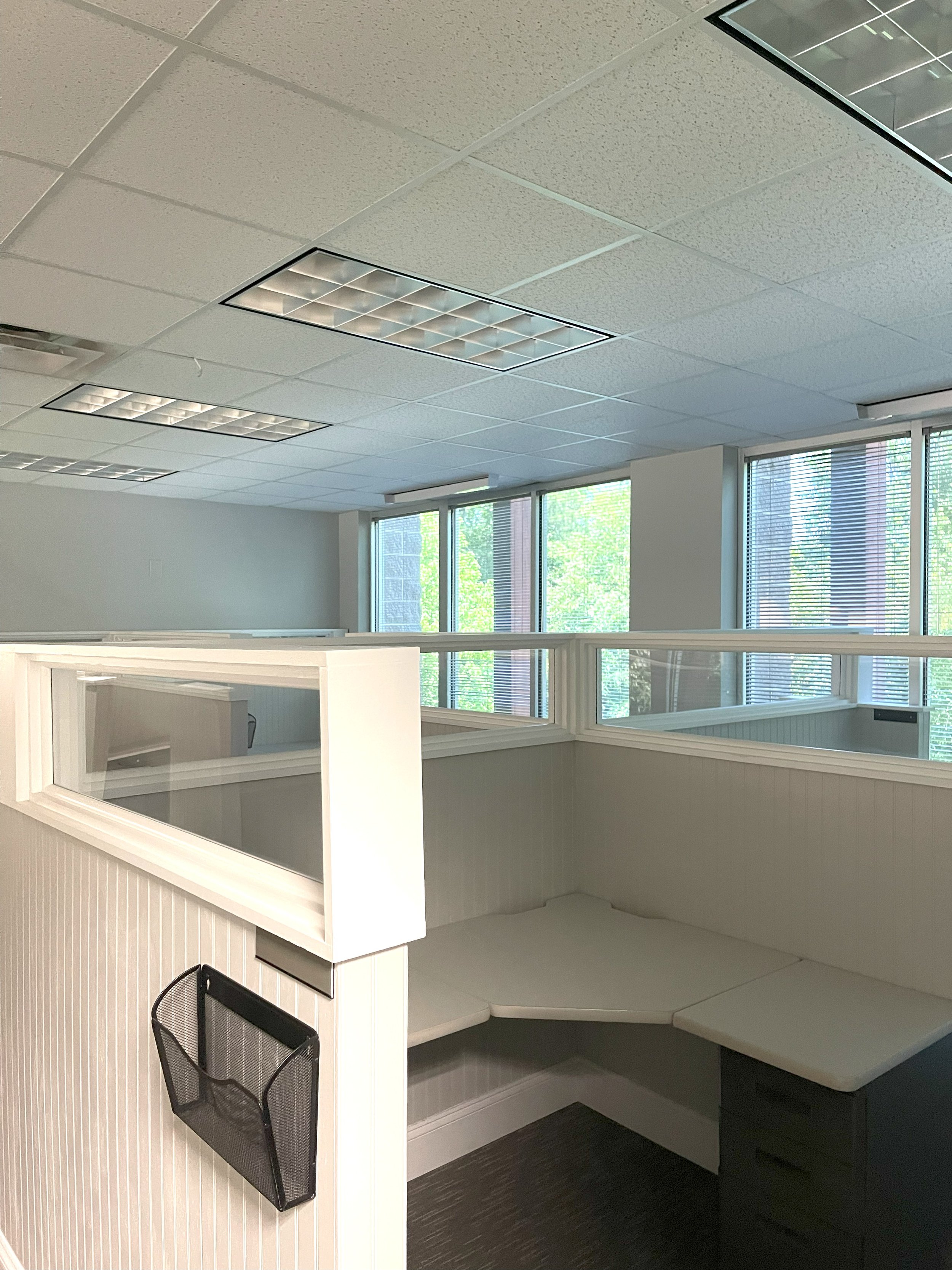 Empty modern office with cubicles, large windows, ceiling lights, and a black mesh wall organizer.