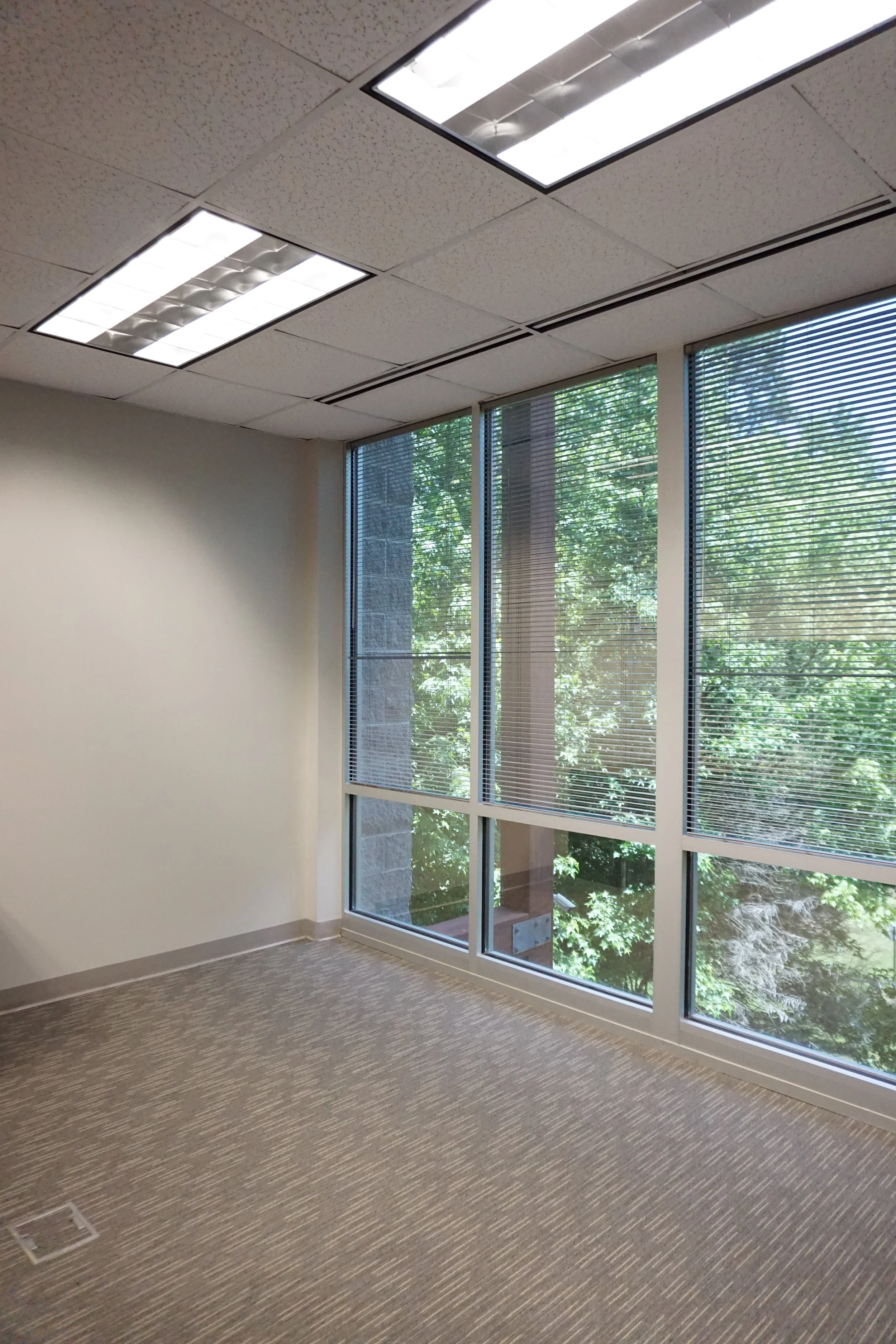 Empty office space with large windows, beige carpet, and ceiling lights.