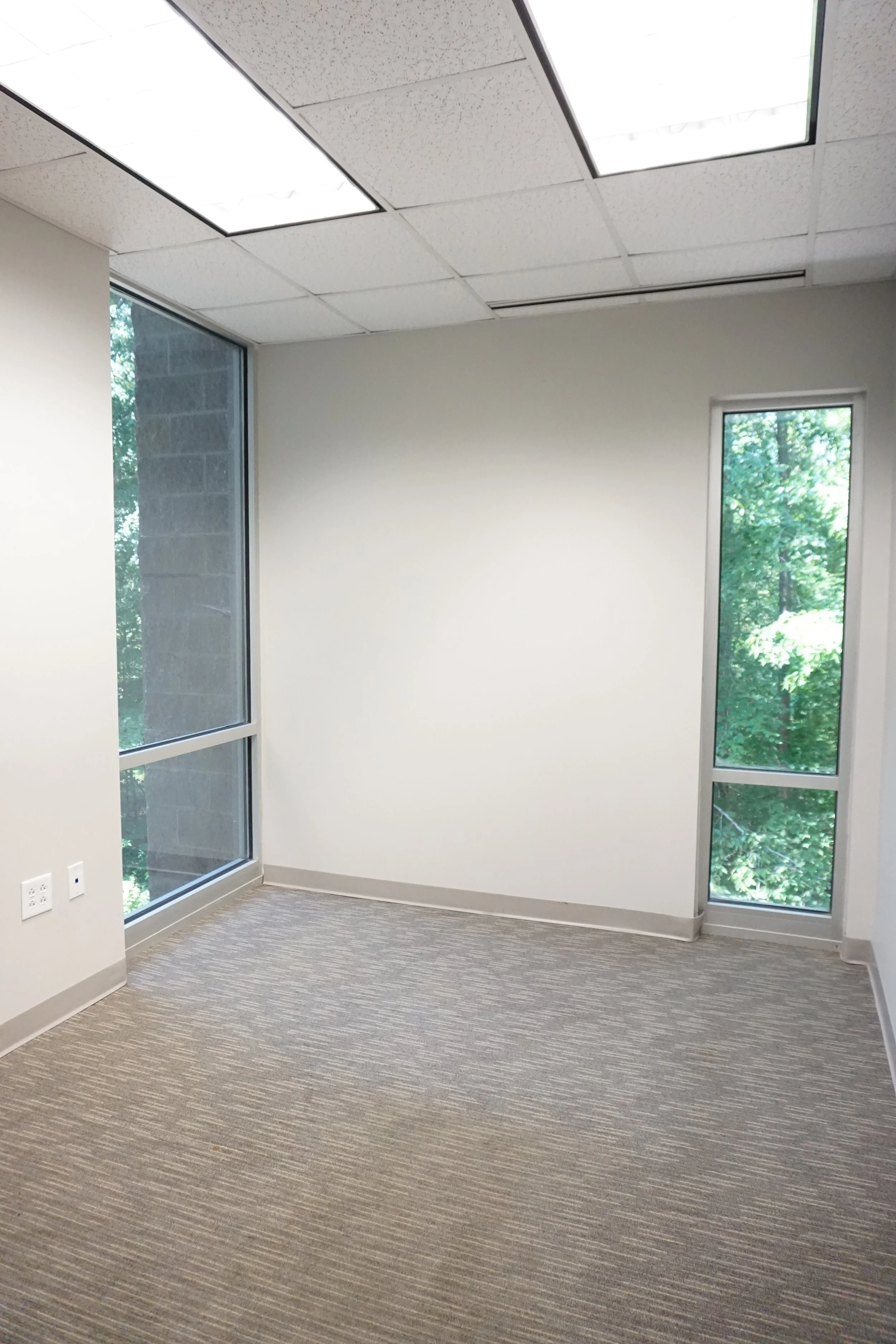 Empty office space with beige carpet, white walls, large windows showing greenery outside, and ceiling lights.