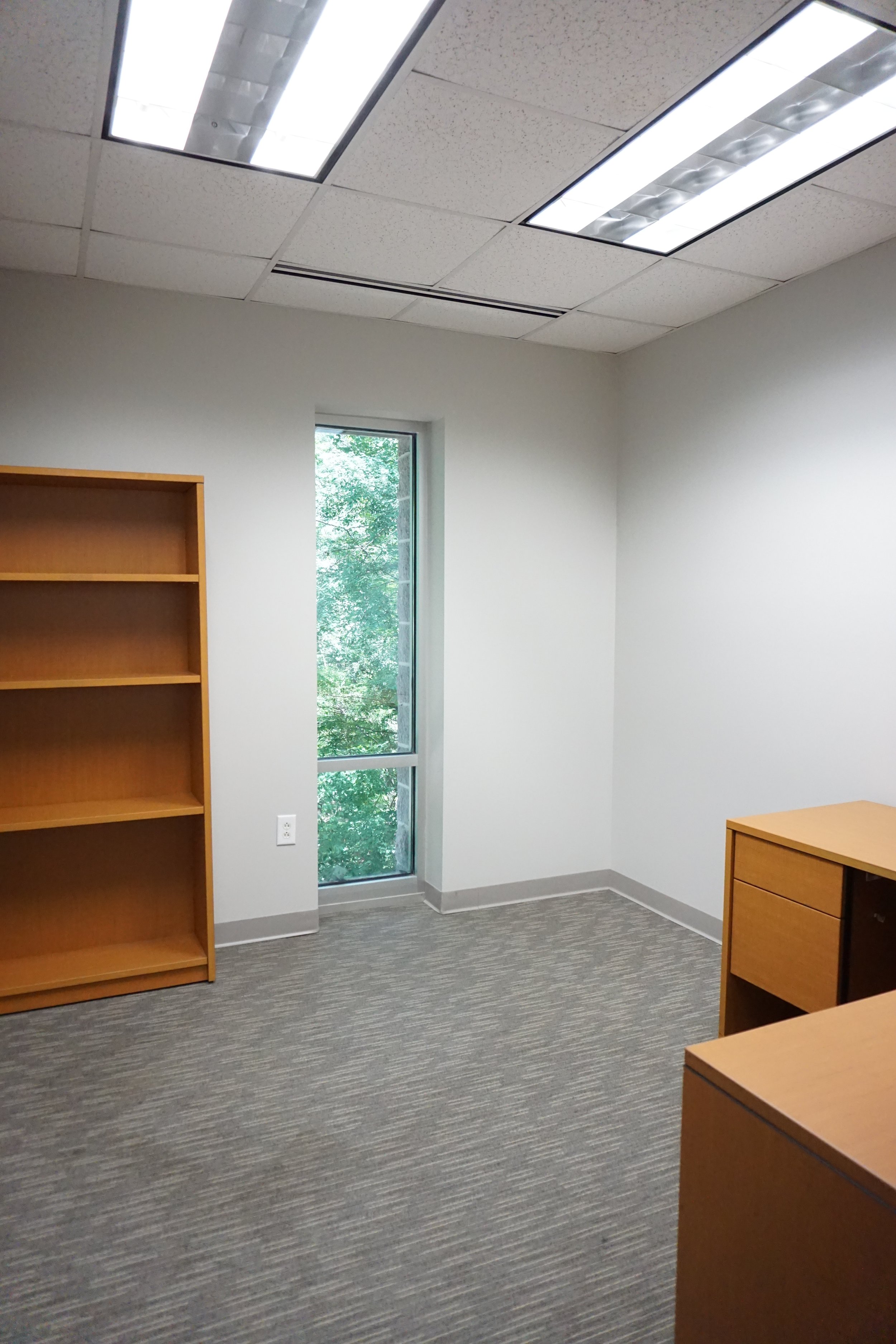 Empty office with wooden desks and shelves, a window showing green trees outside, and fluorescent ceiling lights.