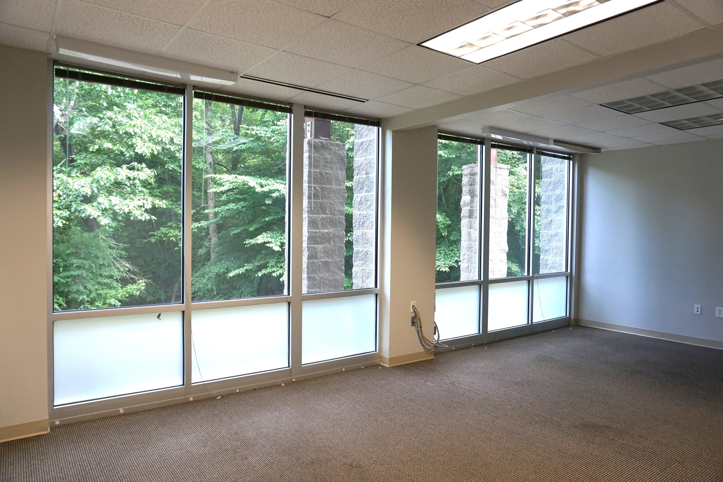 Empty office space with large windows showing trees outside, beige carpet, and ceiling lights.
