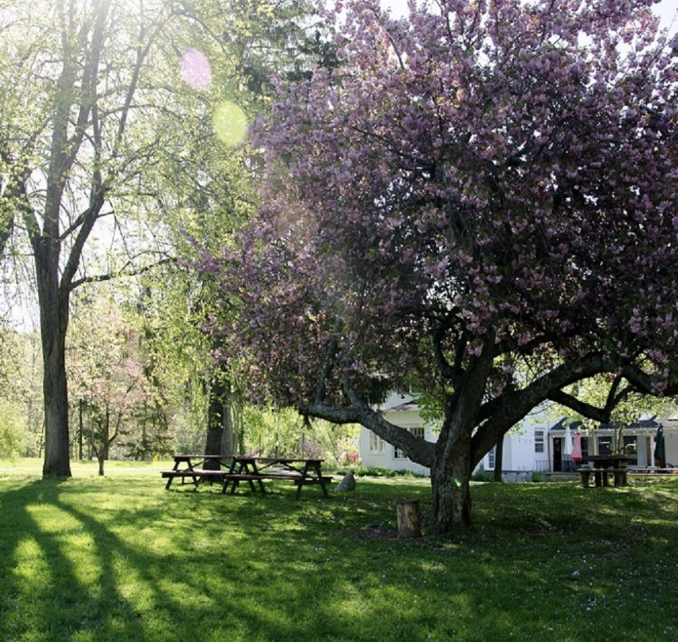 Screenshot 2026-04-08 at 12.41.03 PM.png