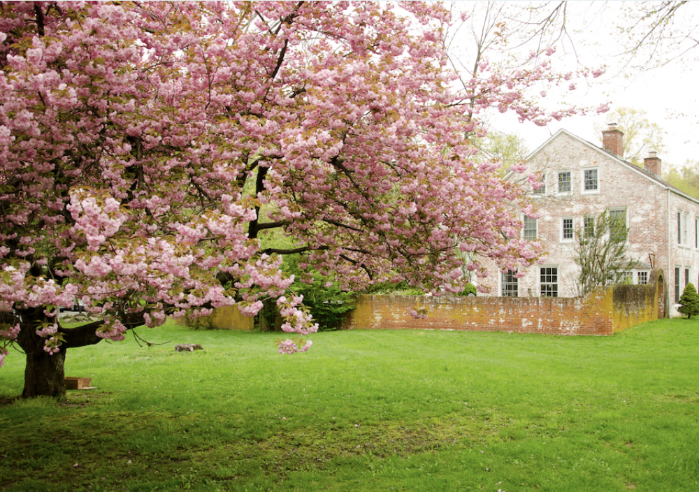 Screenshot 2026-04-08 at 12.38.27 PM.png