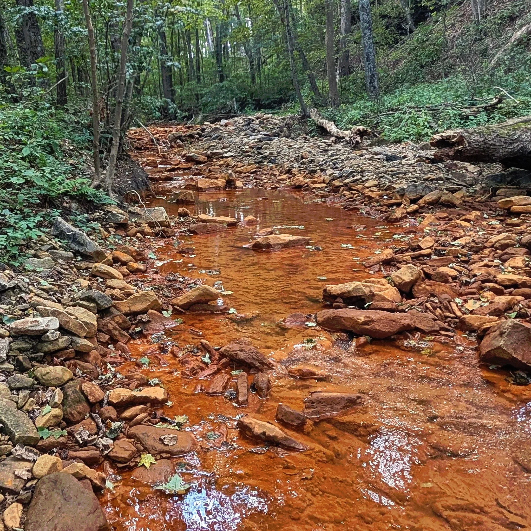 A small, shallow stream with reddish-brown water flowing through a green forested area, surrounded by rocks and trees.