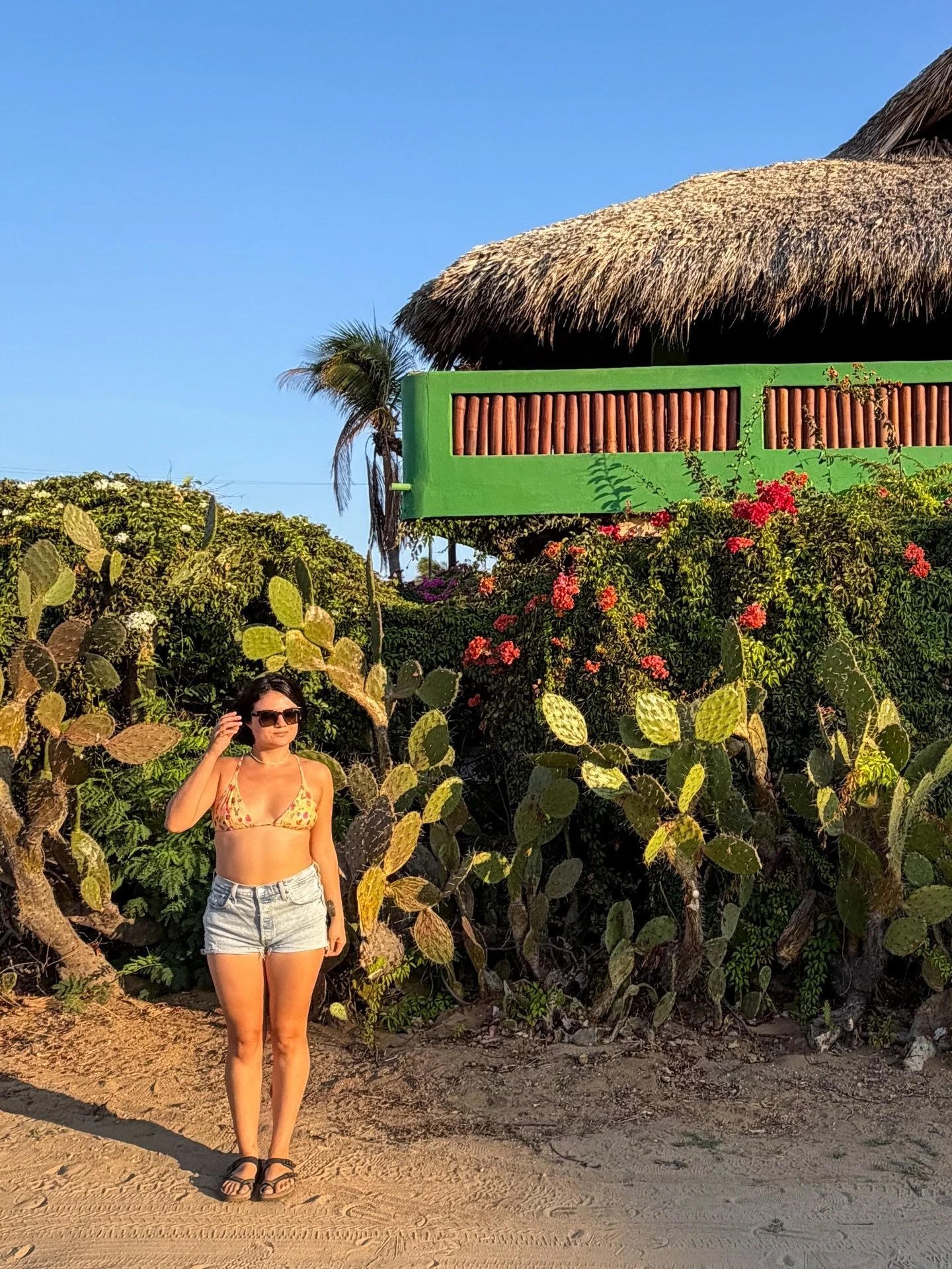nothing but gratitude for this life 🙏🏼🇲🇽🍉✨🌊