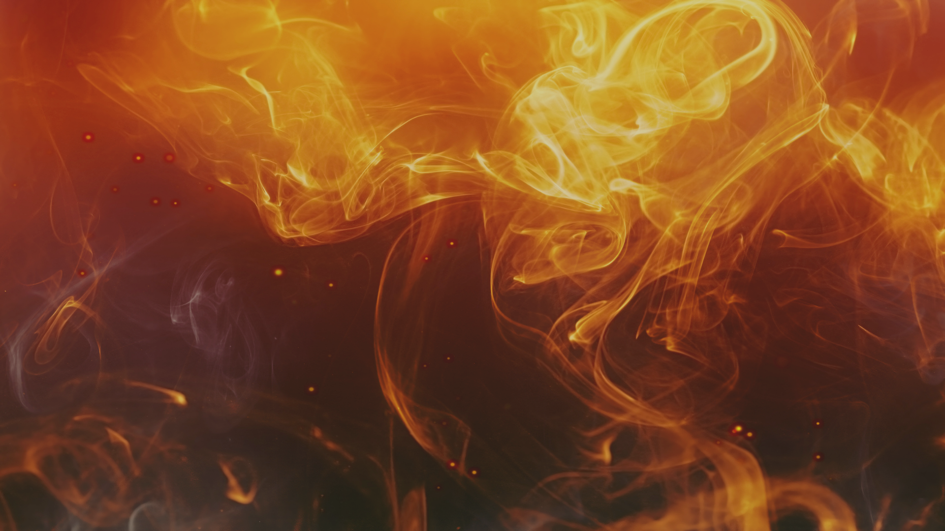 Summer Fire Element Workshop