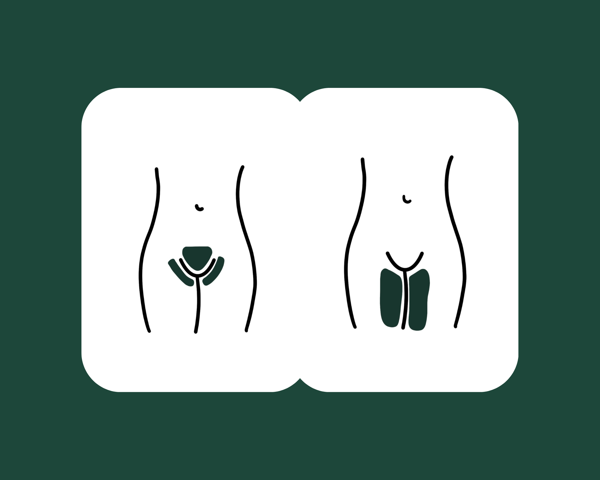 Line drawing of male and female genitals, with the male on the left and female on the right.
