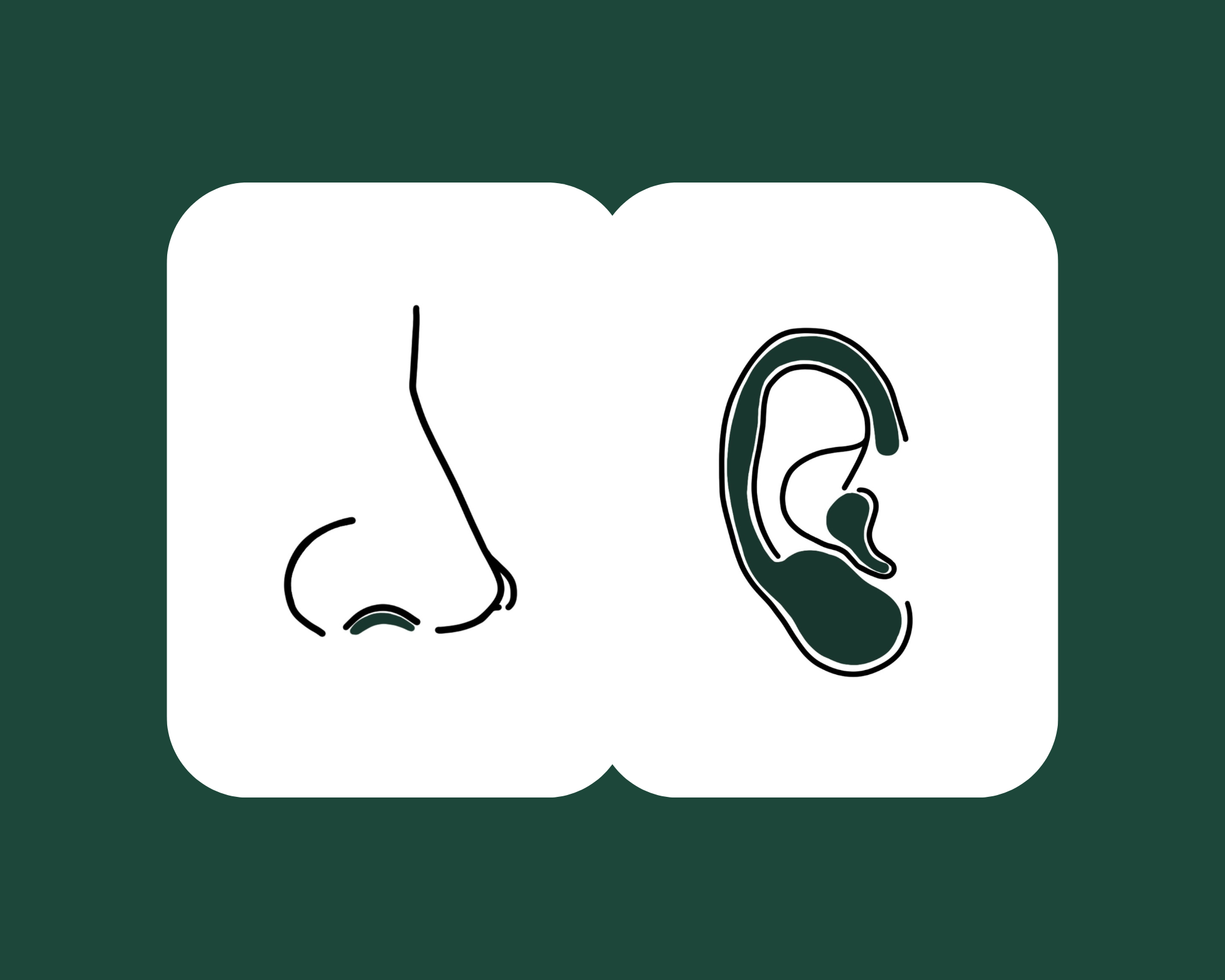 Line drawing of a human nose on the left and a human ear on the right.