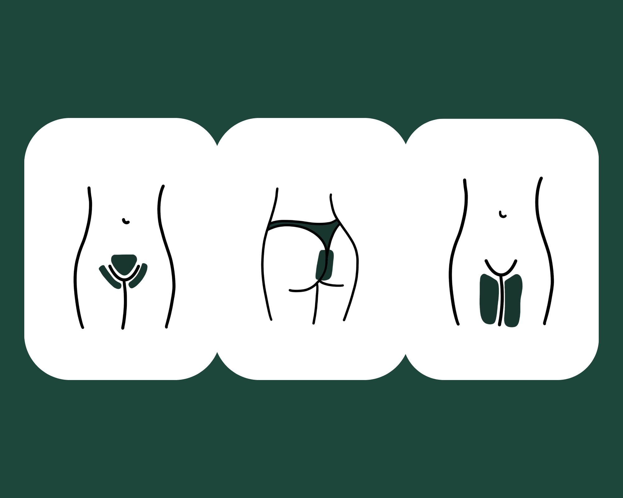 Illustration of male and female genitalia in black line art, showing front and back views.