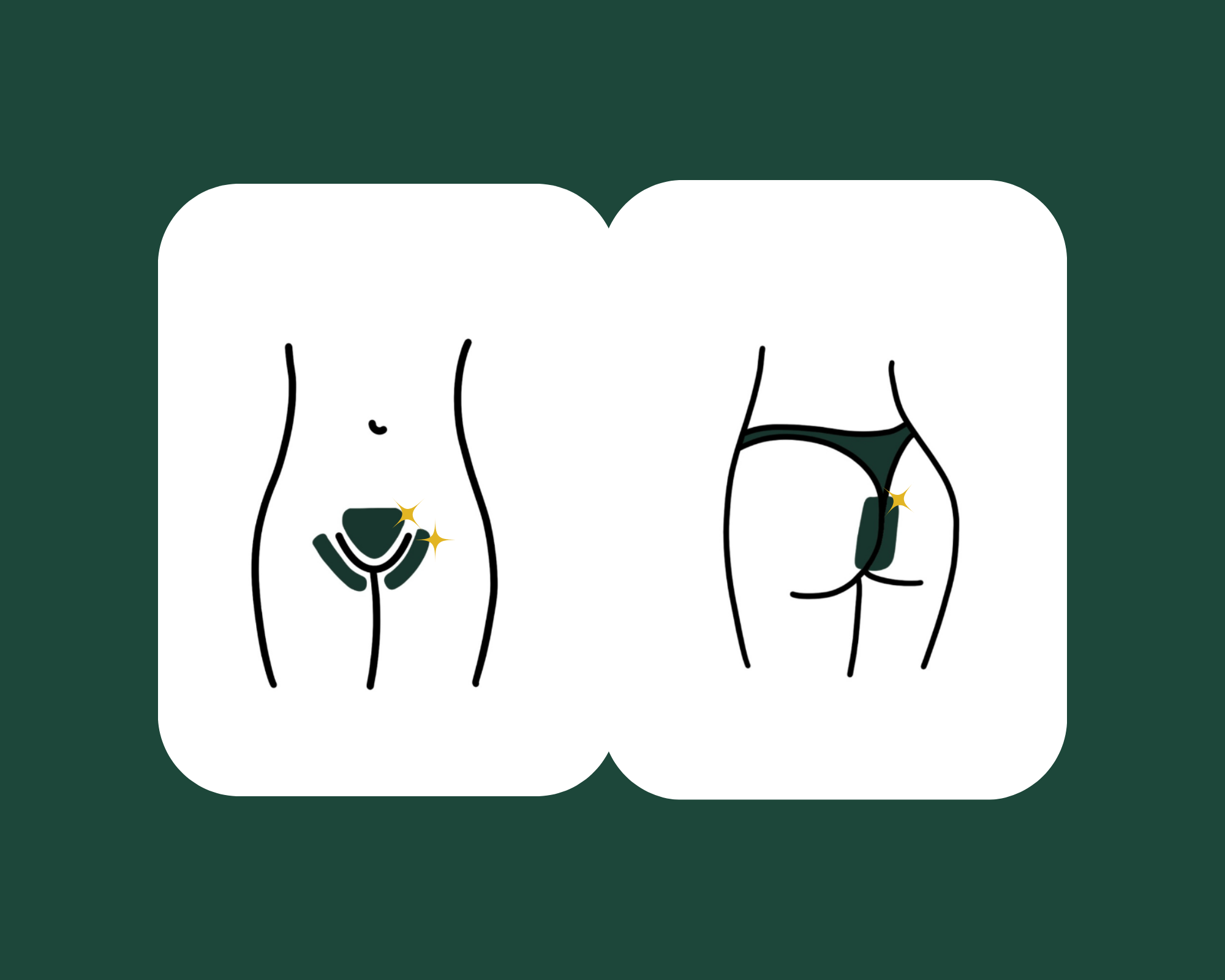 Minimalist illustration of female genitalia with shiny star accents, showing front and back views of the vulva and buttocks.