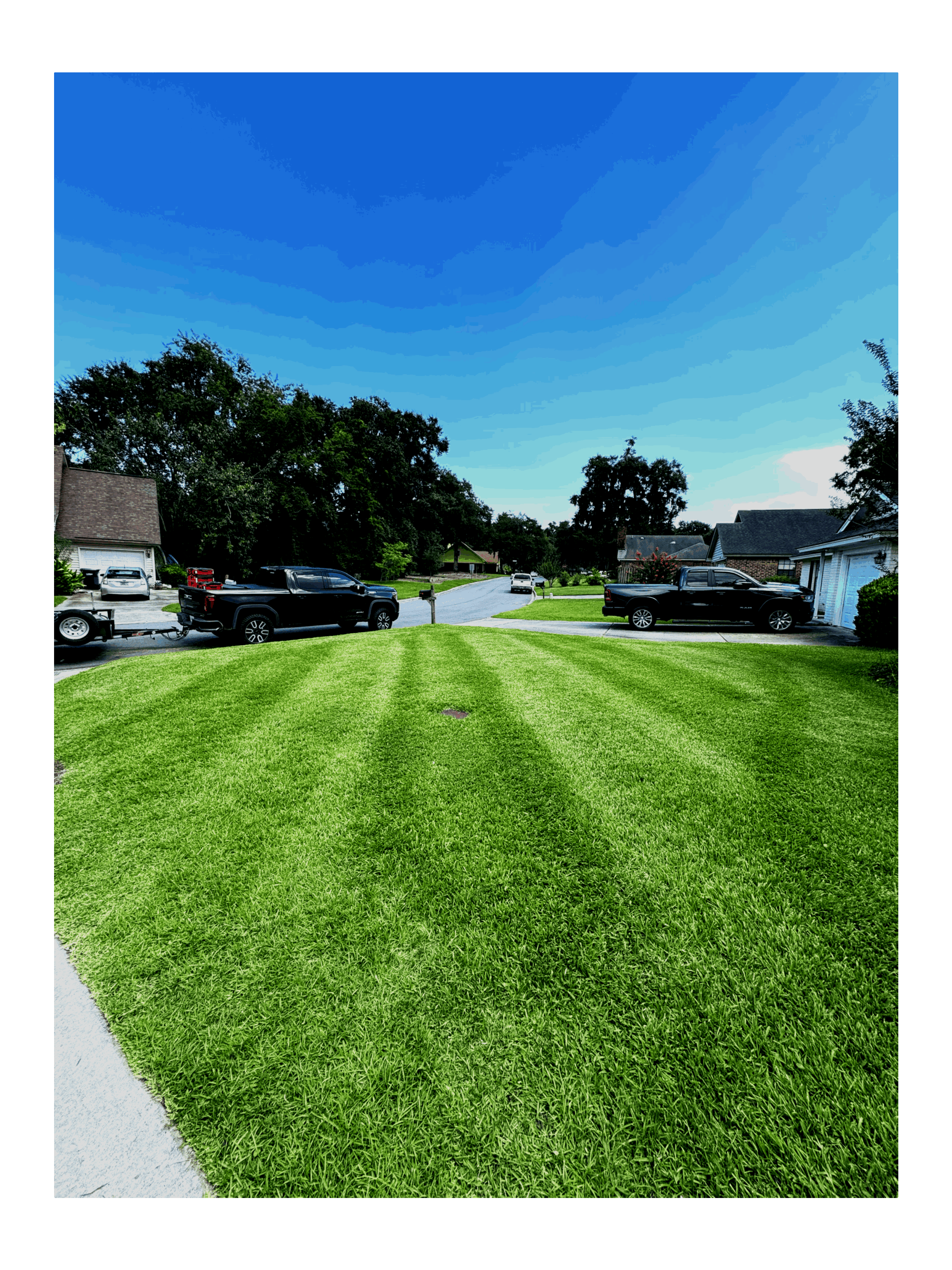 Lawncare