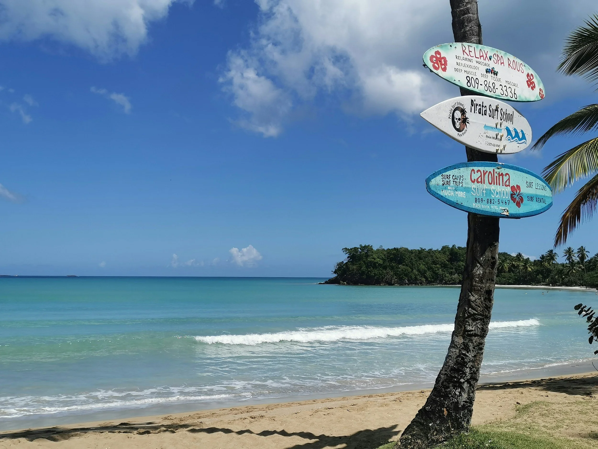 Samana 