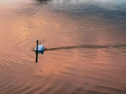 The story that never gets told...