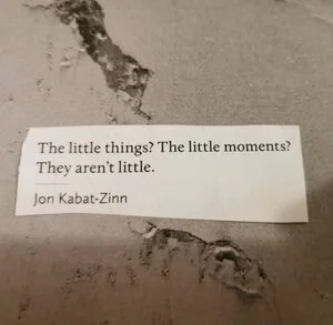 My little gift to you...