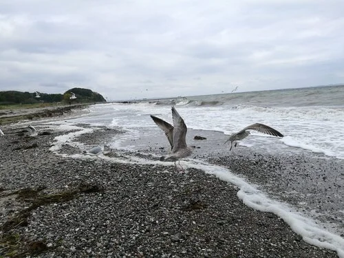      

 
   You ever feel like someone is out to get you?&nbsp;  I certainly am feeling this way right now. In the span of a week, two terrorists have actually been out to get us. 18 lives lost between the Anti-Asian hate crime in Atlanta, Georgia, a