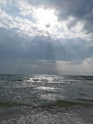 You celebrating Bodies of Culture?