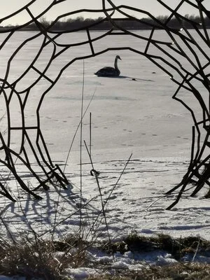 Stop excelling above and beyond!