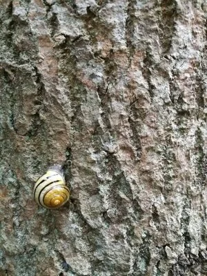 You're working too hard!