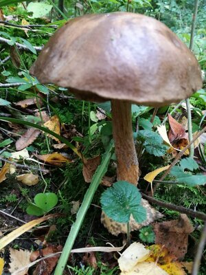      

 
   You know what I absolutely cannot stand?  Concealment.  The act of depriving or withholding relevant information from others.&nbsp;  It’s the lie that no one wants to talk about.  When someone conceals, there is an incongruence in the env