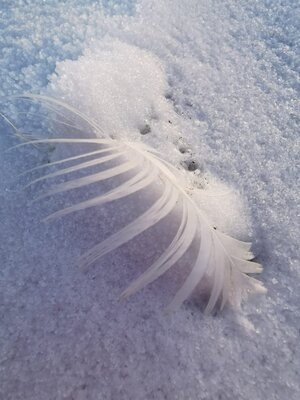 Turning burdens into blessings