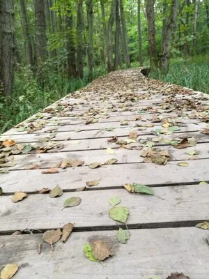 Intent does not matter. Impact does!