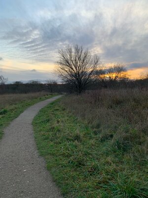 Regulating through COVID holidays