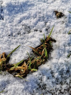 Here is what wasn't said about the riots...