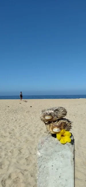 Tell me how I hurt you!