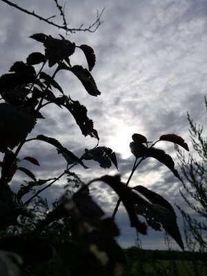 Finding liberation at the hands of trauma