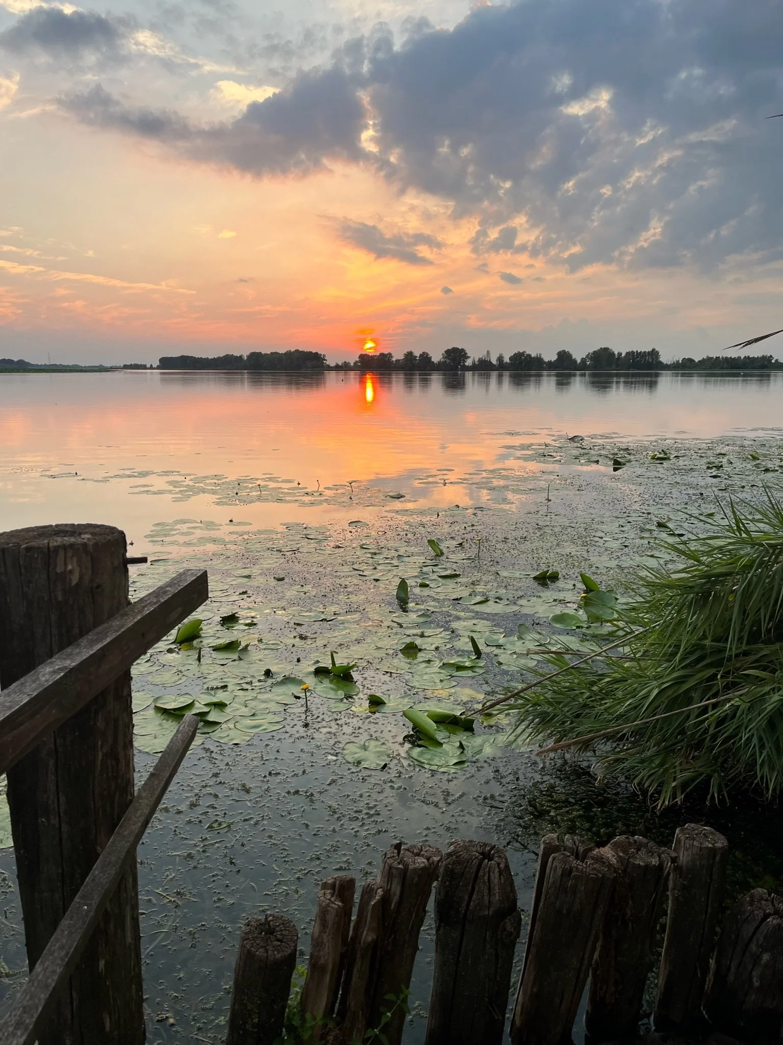 Your free ticket to liberation is tomorrow