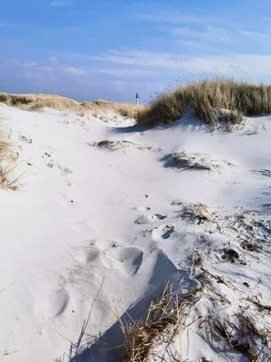 Here is what actually leads to burnout!