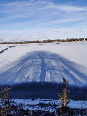 PTSD or PTG?! Growth After 4-years of Trauma