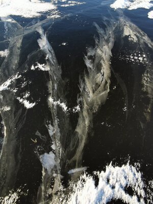 It smells of patriarchy...