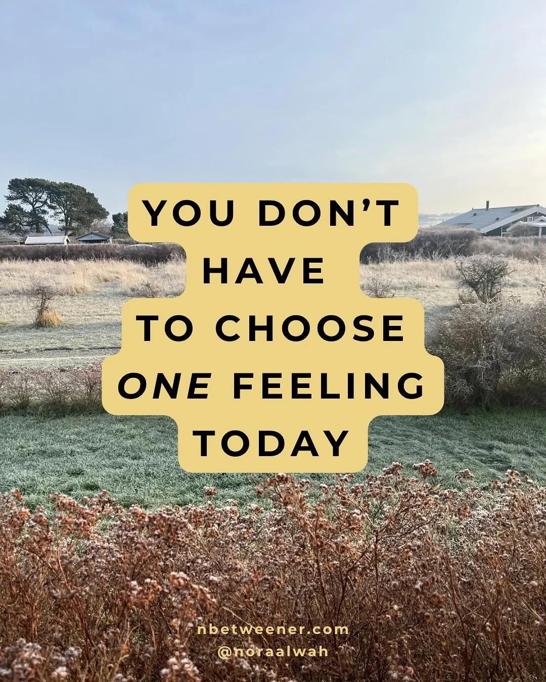 Blame is the nervous system&rsquo;s shortcut.
It gives us somewhere to put the weight.

😮&zwj;💨

If you feel yourself tightening into right/wrong today&hellip; pause.

You&rsquo;re allowed to hold more than one truth at once.

That&rsquo;s your n&r