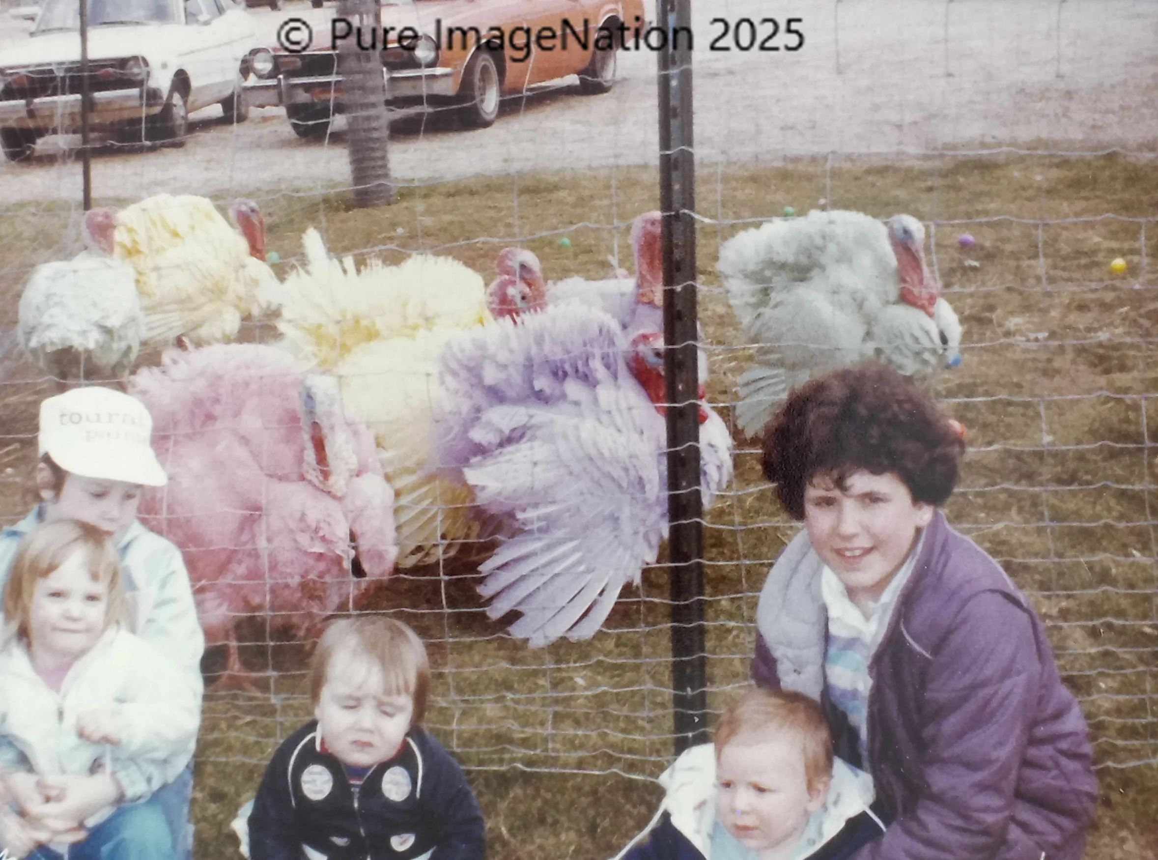 A group of children and an adult posing in front of a wire fence containing turkeys, which are in a field with grass and dirt. The turkeys are white and pink, and some have multicolored head and neck feathers. There are several colorful eggs scattered on the ground behind the turkeys. In the background, there are parked cars and a tree.