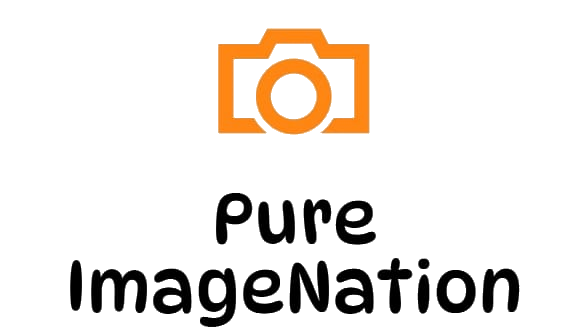 Pure ImageNation