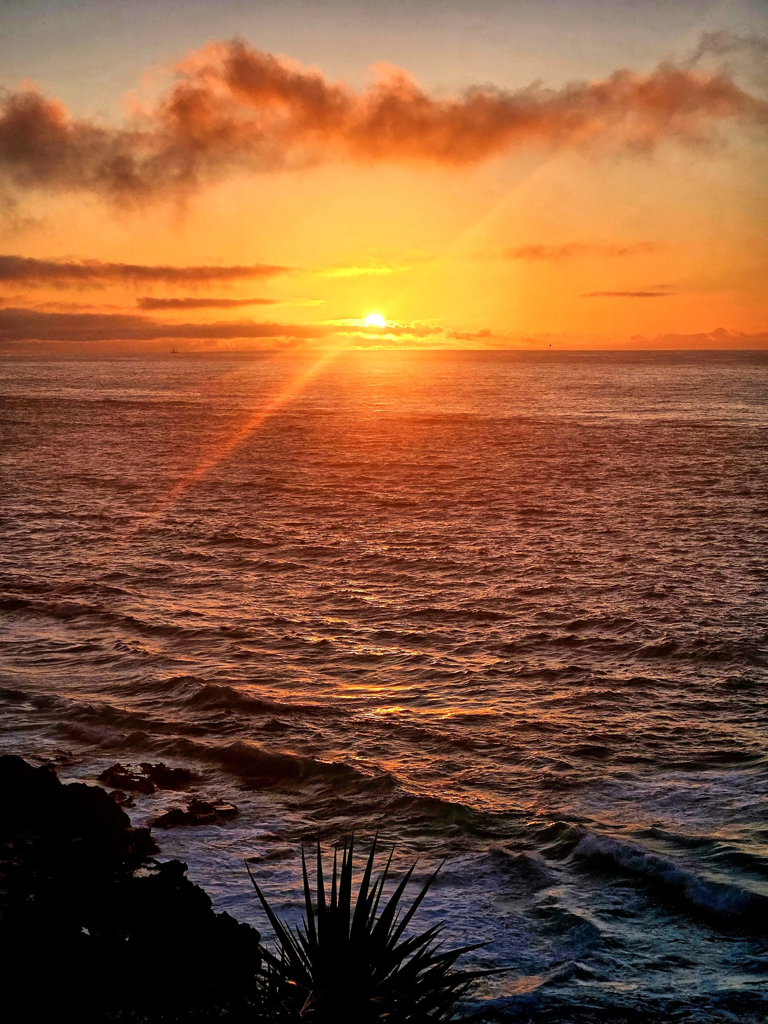 Marley Beach Sunrise.jpg