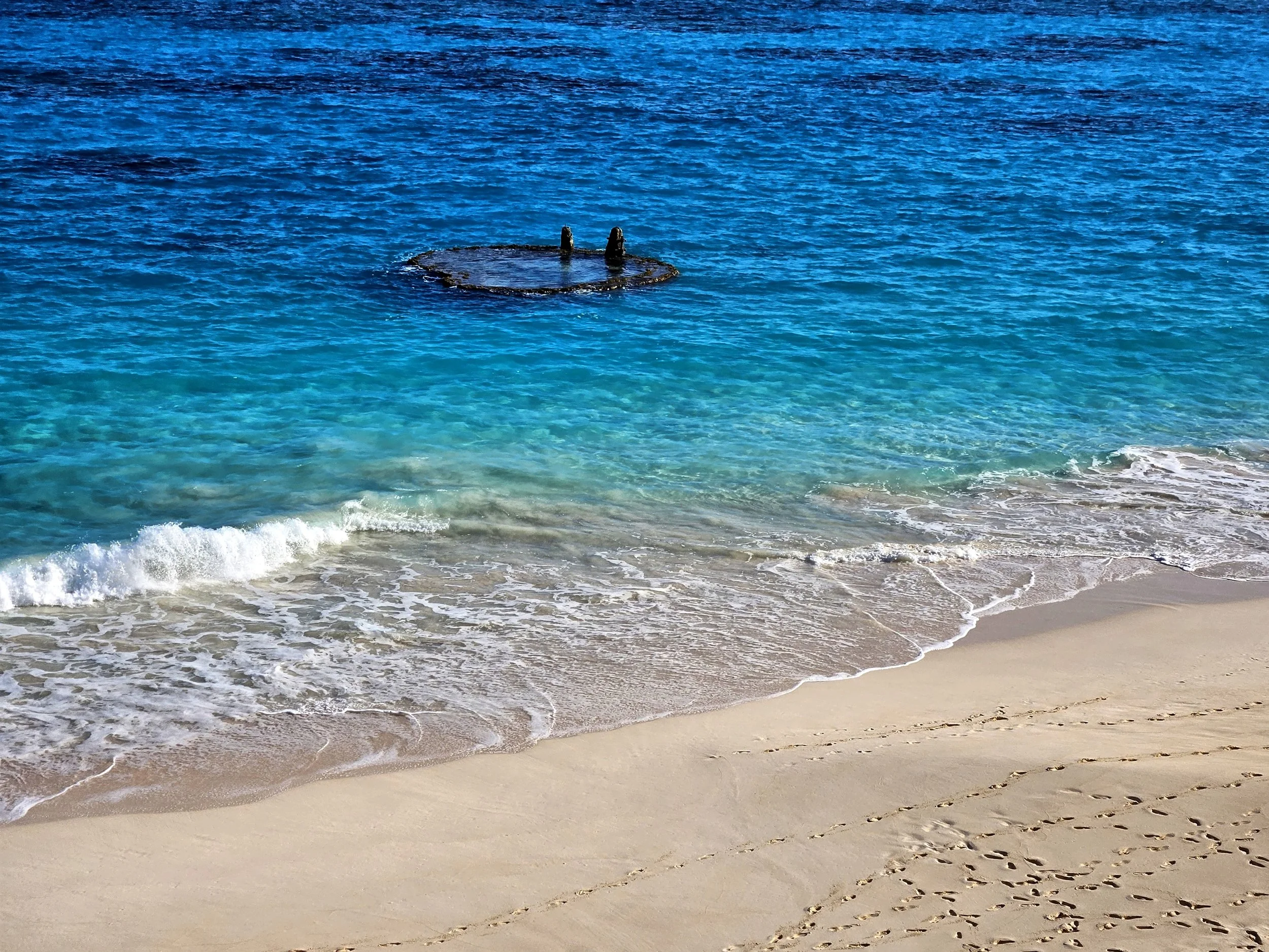 Pink sand and aqua ocean.jpg