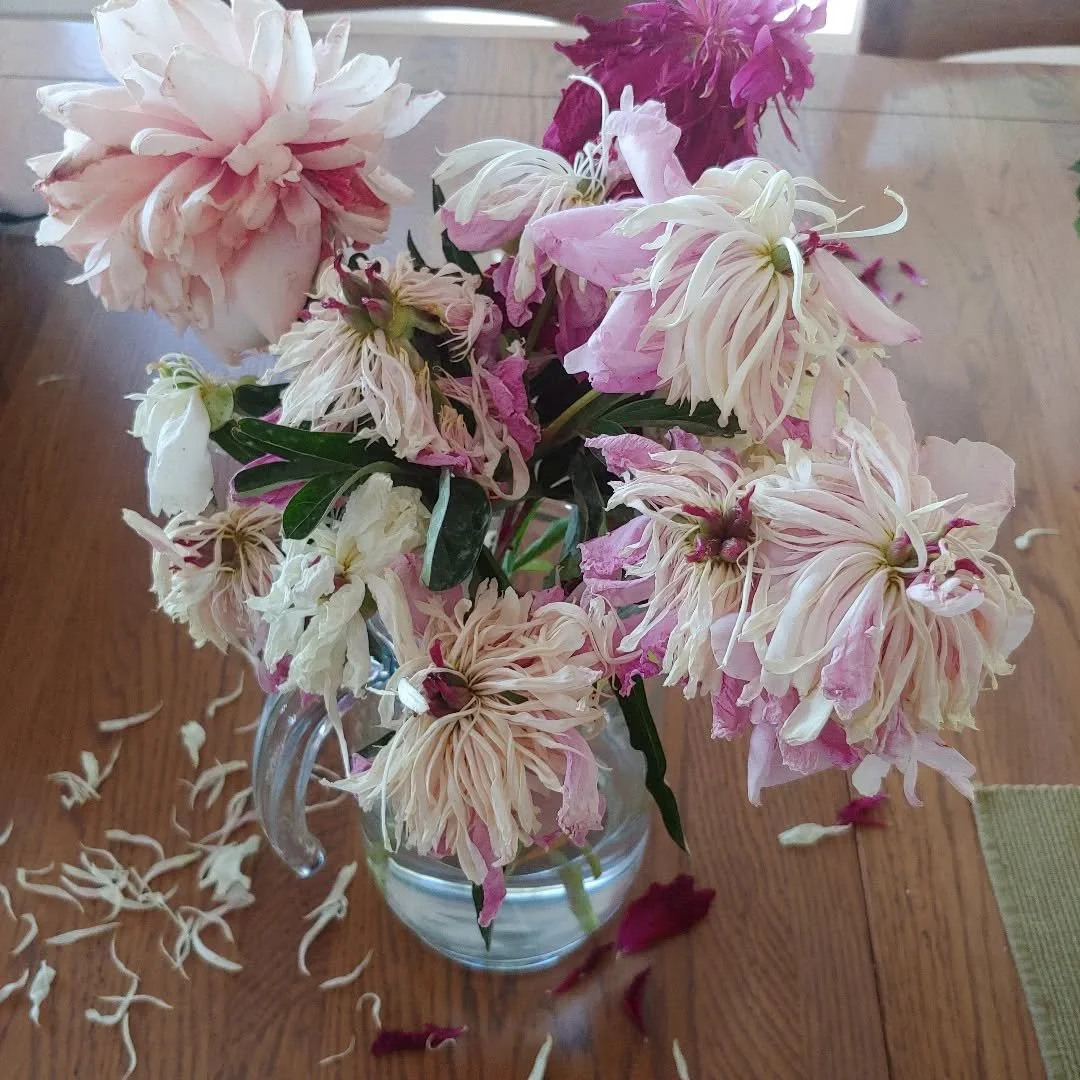 Even when the blossoms are past their prime, they continue to smell and look incredible. I have a hard time throwing them in the compost.