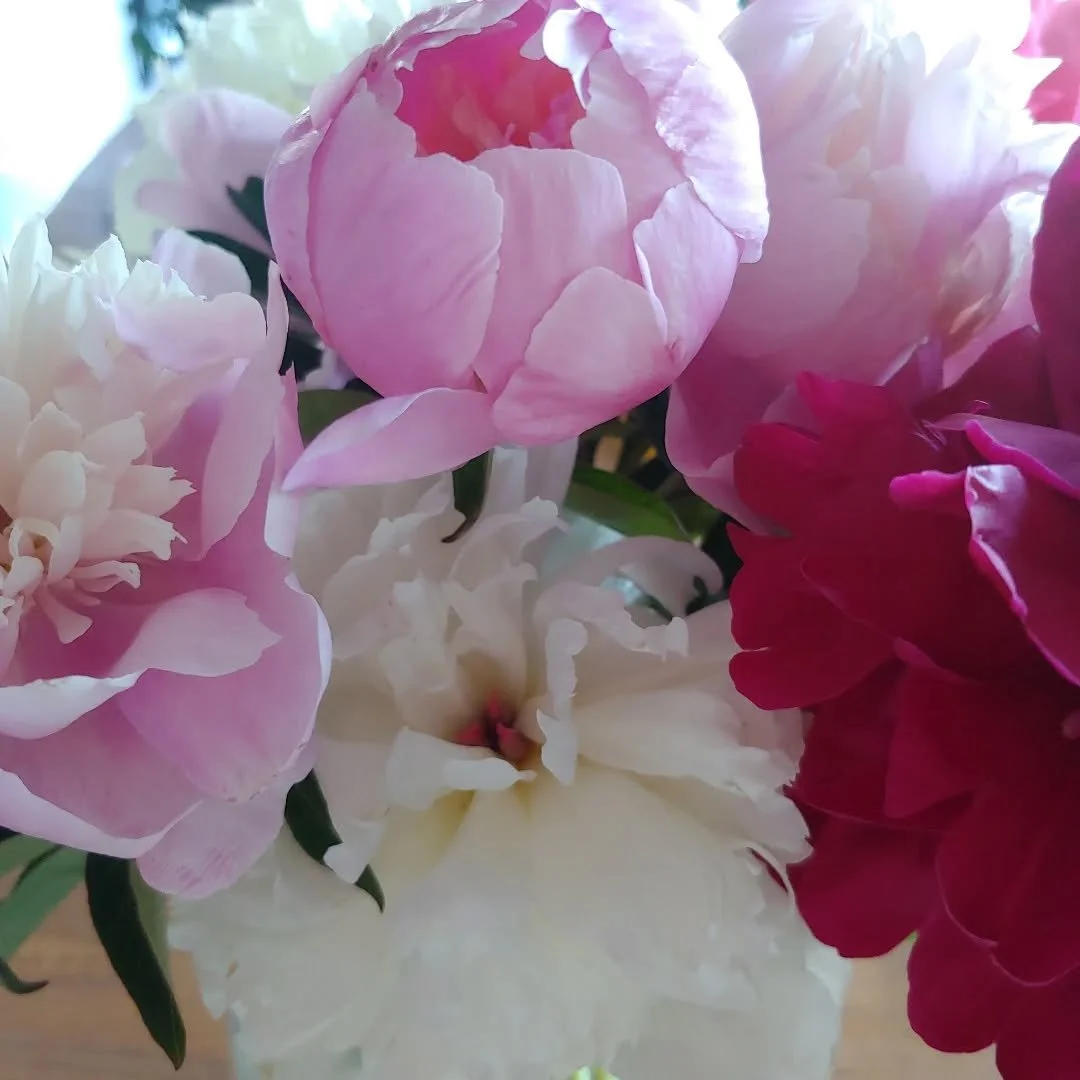 The end of peony season leaves me feeling a bit down, yet energized about what we plan to do next year. These blossoms are so intense - I get a real dopamine rush whenever I am near them. They are so gobsmackingly-gorgeous...and the smell is heavenly