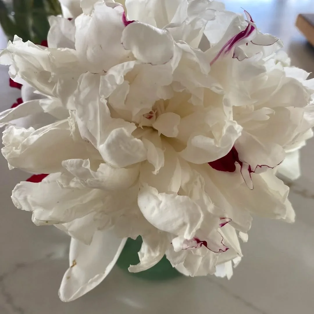 Our lovely Lancasters... stunning.