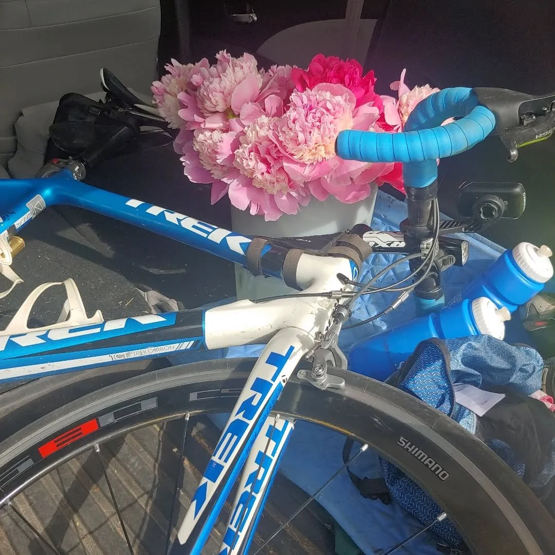 Our car always seems to have a selection of bikes and peonies jammed in together ..😊