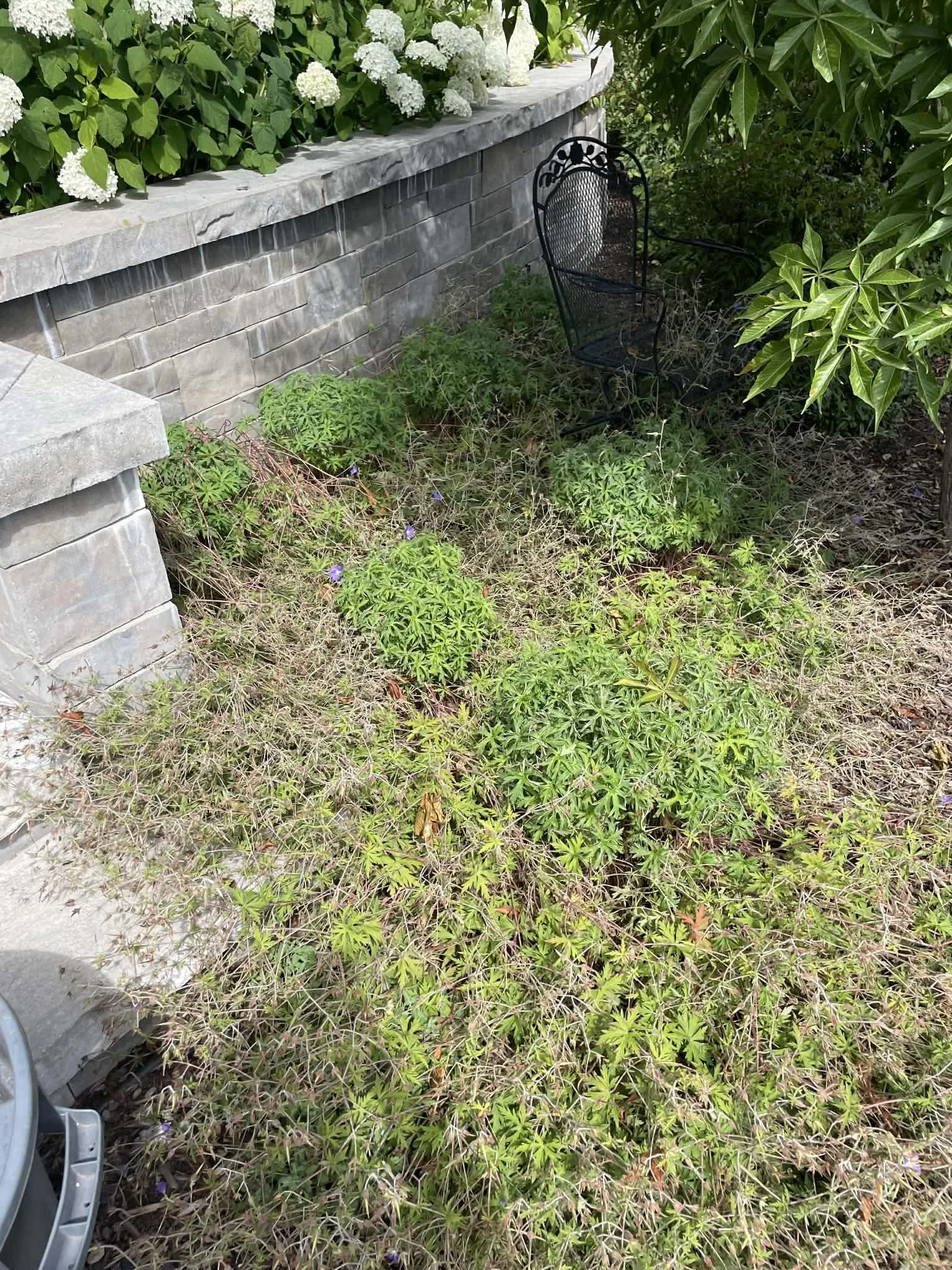 f98f5ceb-9c4a-4bc3-9212-40b868802bba.jfif