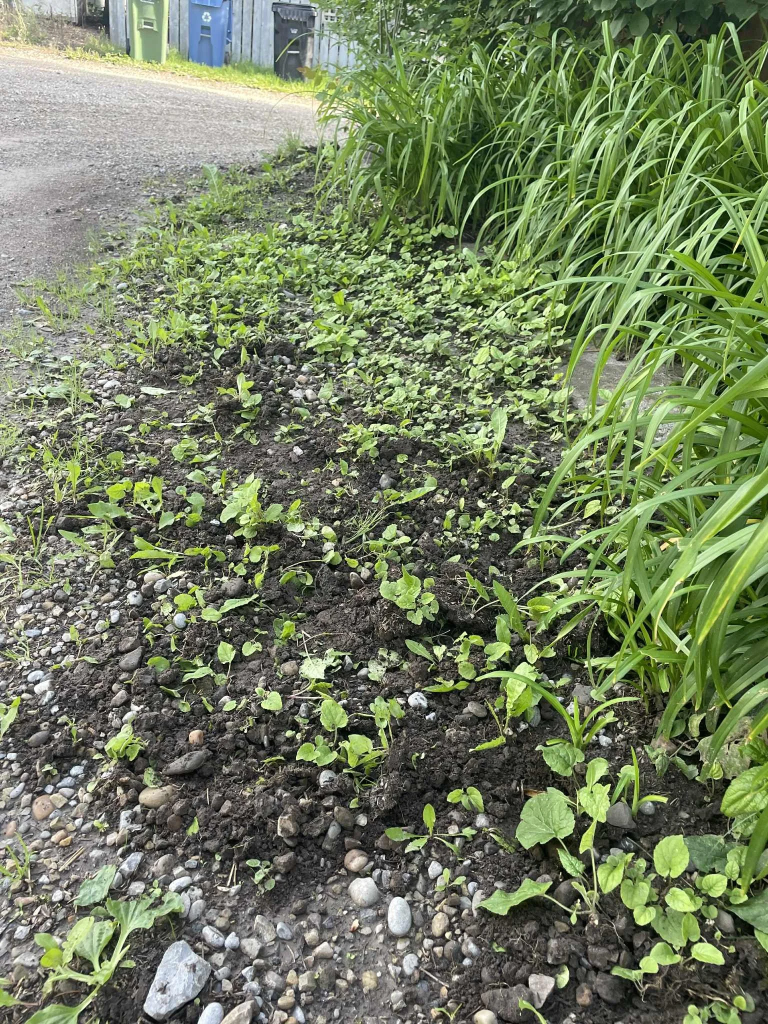 739196e4-ebbd-4975-bf20-73275f70c563.jfif