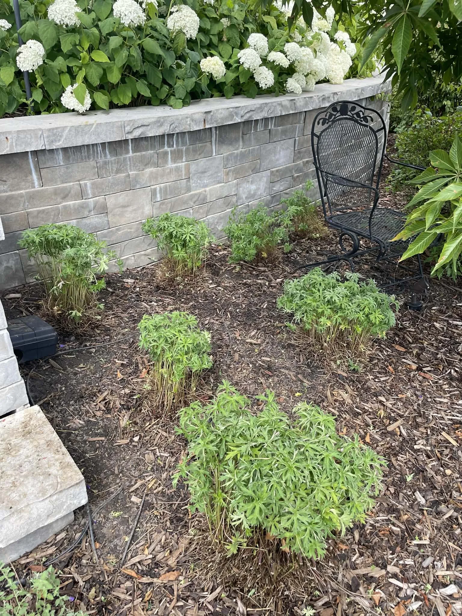 393115f6-e9f0-4aff-8fc8-8ffdebf70e56.jfif