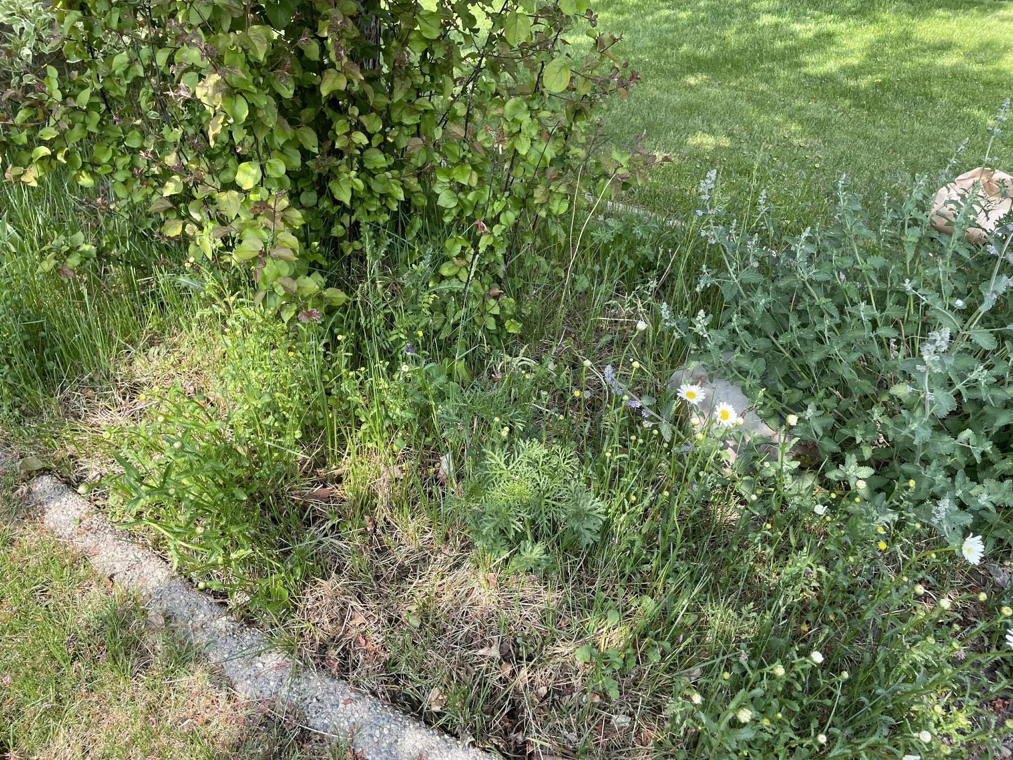 d82367f5-89b6-4fe5-b928-e787cc440c92.jfif