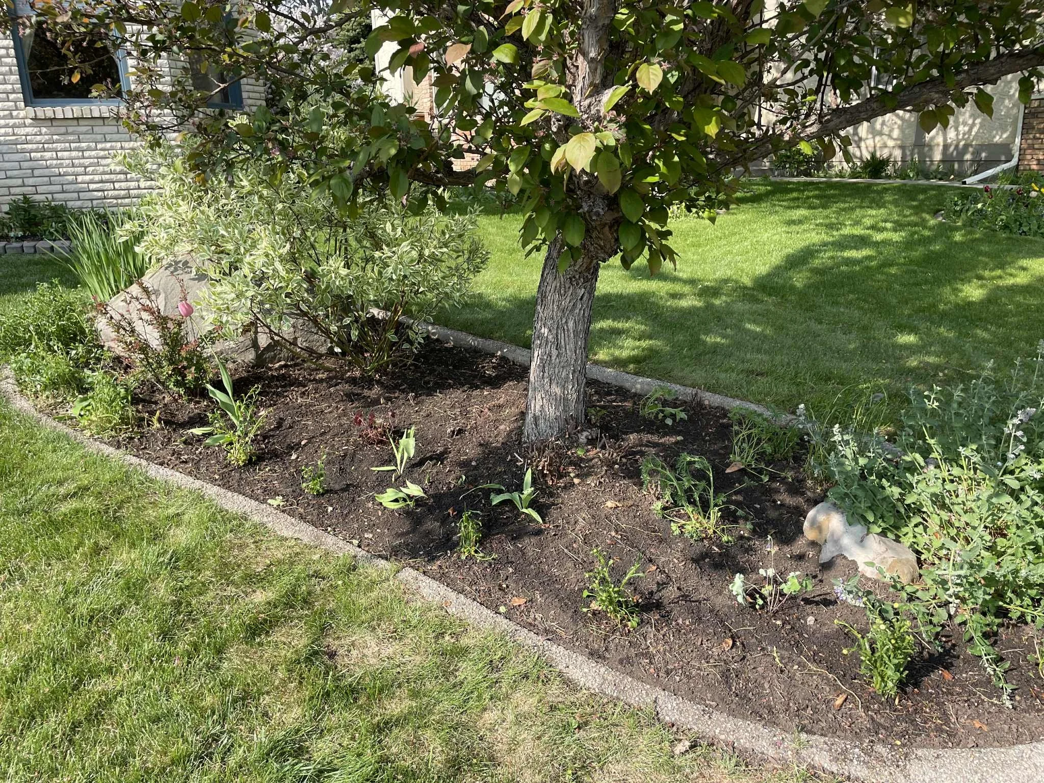 215a5b19-0c07-4faa-8dfe-21e37efd004a.jfif