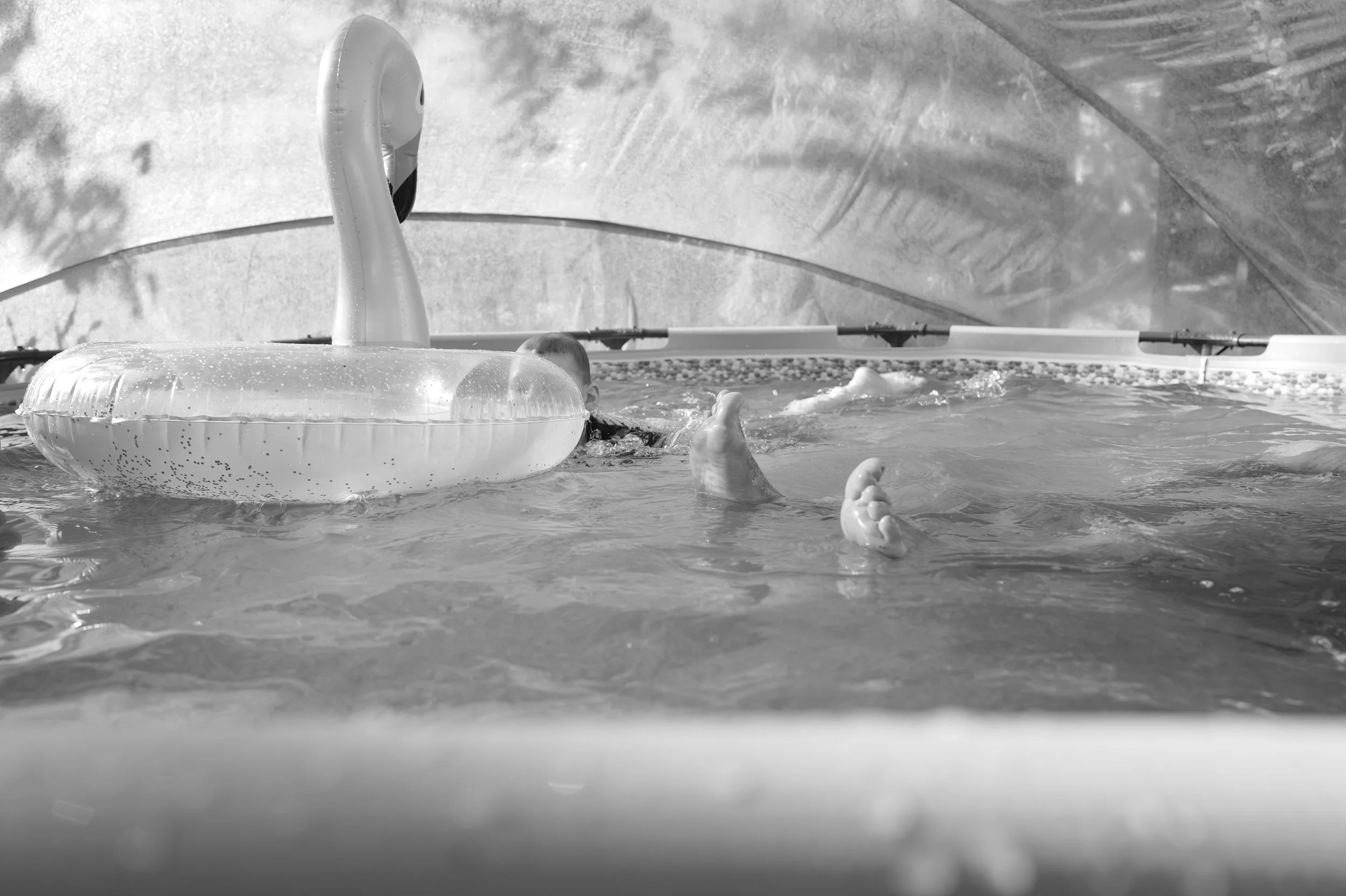L1003623.jpg